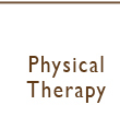 physical therapy